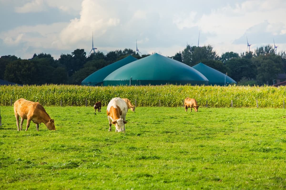 Cepsa's Biomethane Certification and Sustainable Energy Strategy in Madrid