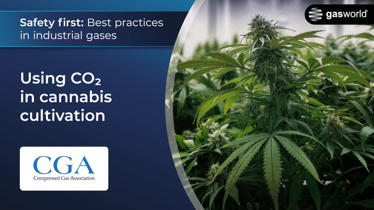 Safety: Using CO2 in cannabis cultivation